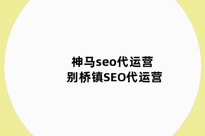 神马seo代运营 别桥镇SEO代运营